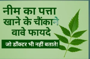 हरे नीम के पत्तों की इमेज जो सेहत और आयुर्वेदिक फायदे बताती है।