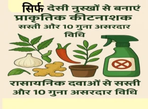 प्राकृतिक देसी कीटनाशक बनाते हुए किसान, घरेलू नुस्खों से तैयार ऑर्गेनिक पेस्टिसाइड का उपयोग करते हुए।