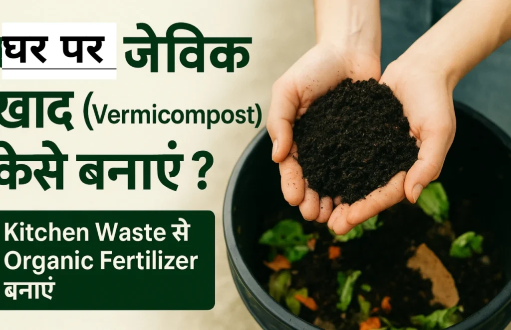 घर पर वर्मी कम्पोस्ट बनाते हुए किचन वेस्ट से तैयार की जा रही जैविक खाद